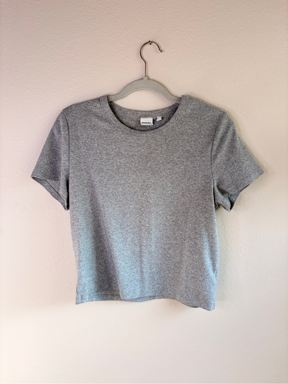 Aritzia Sunday Best Grey Cotton Blend Cropped Tee